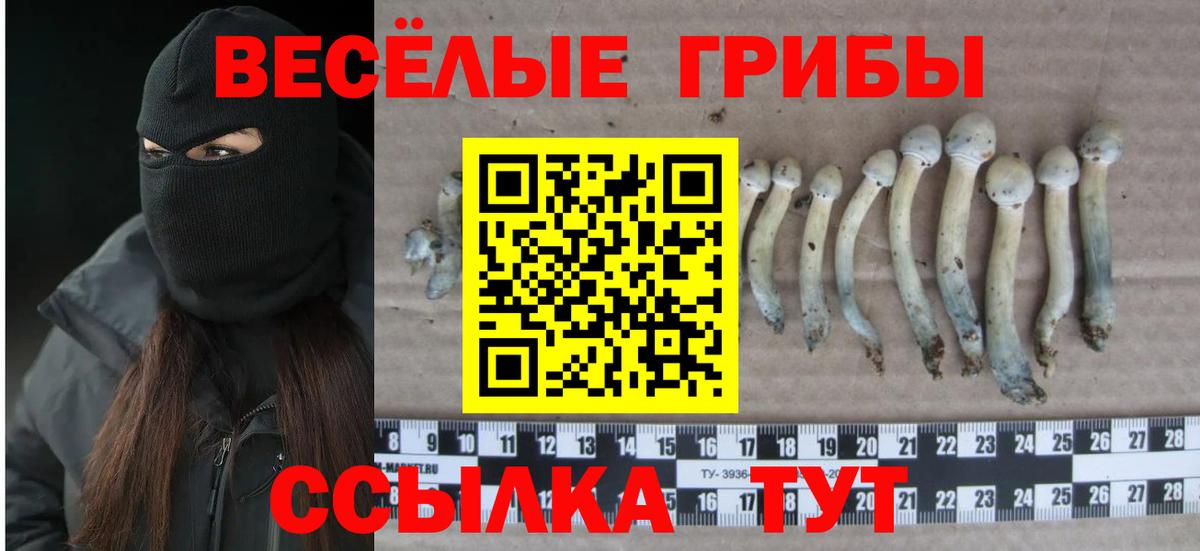 Псилоцибиновые грибы мухоморы Донецк